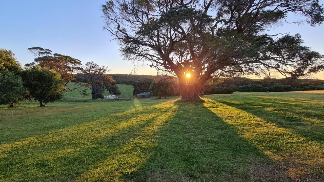 Karriview Margaret River Villa Dış mekan fotoğraf